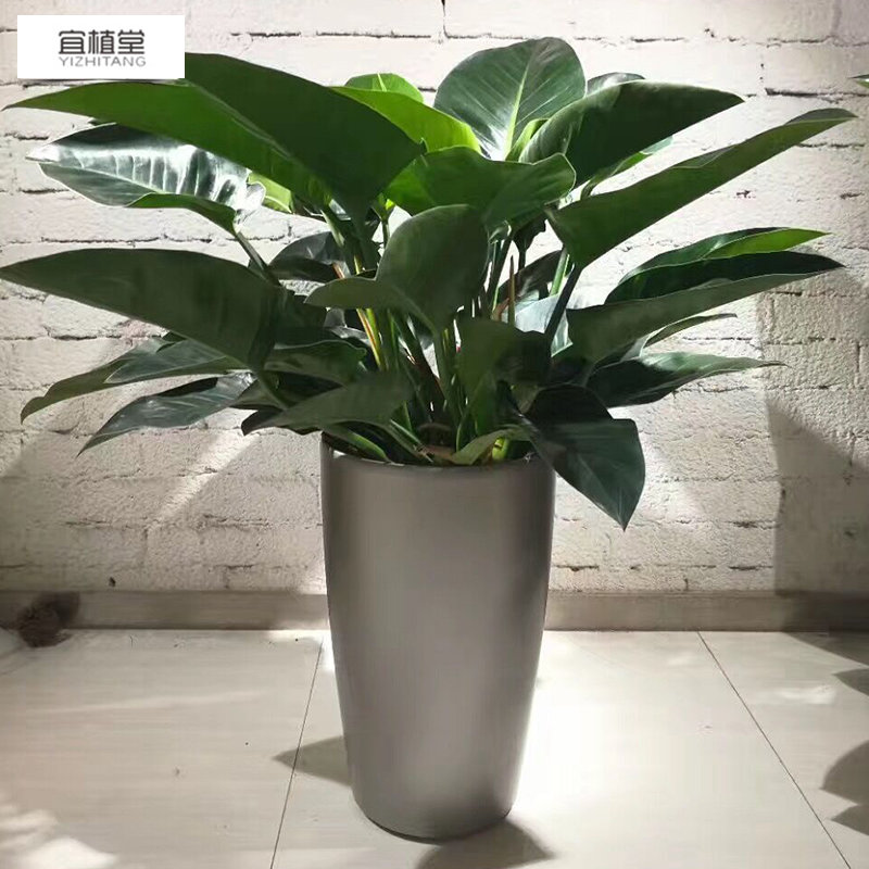 7001 automatic watering creative plastic resin flowerpot hydroponic potted plant special plastic resin flowerpot