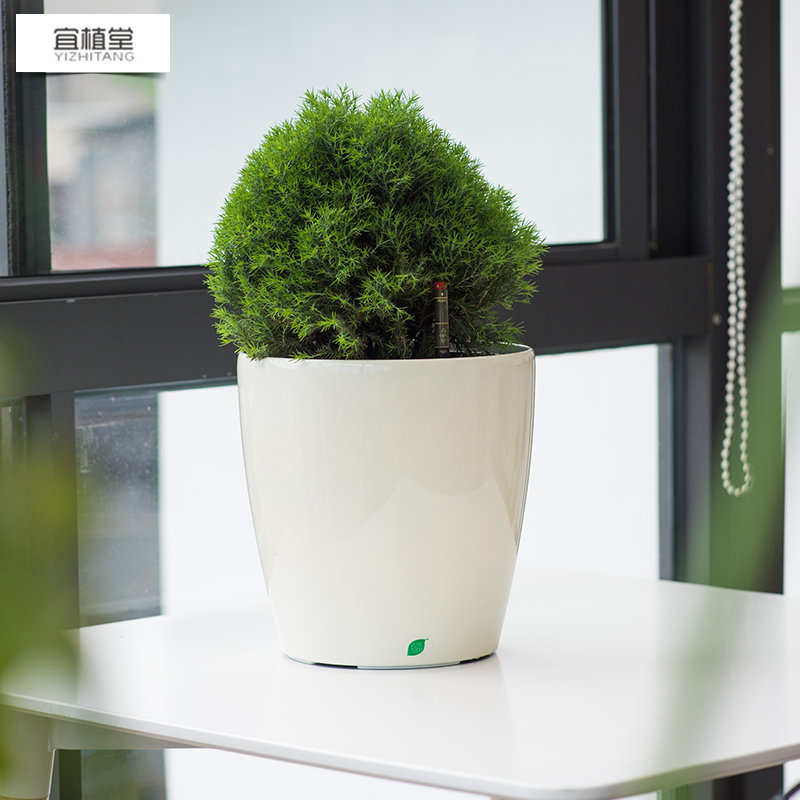 3002圓形桌面大號烤漆花盆