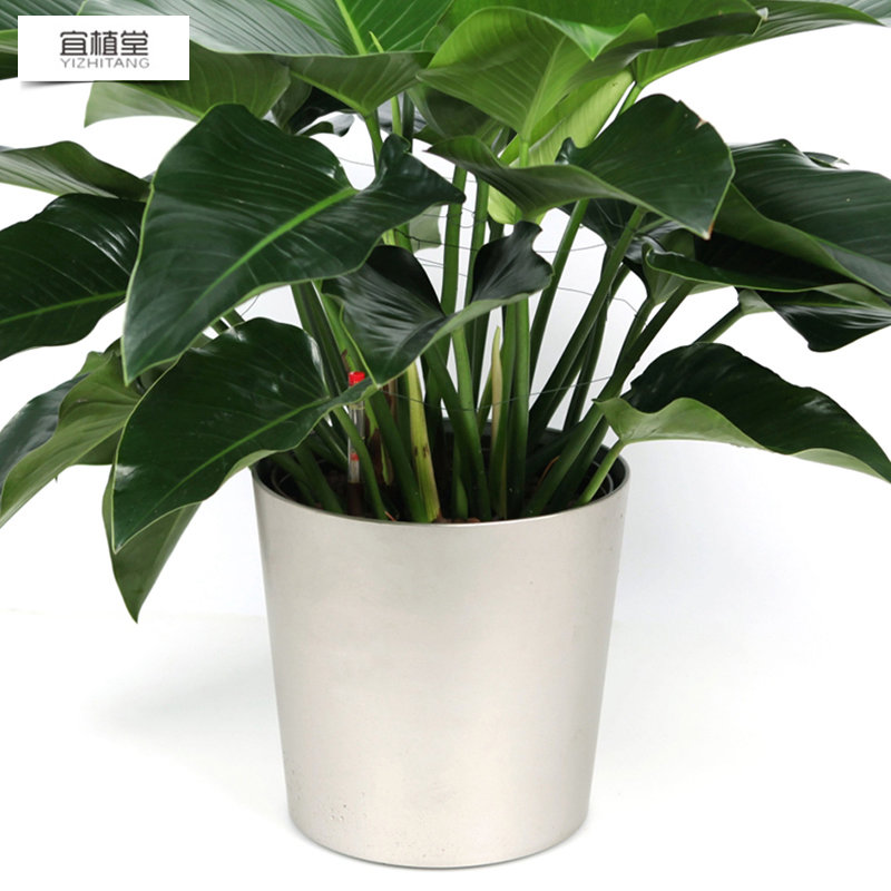 4005圓形落地式烤漆自動澆灌花盆