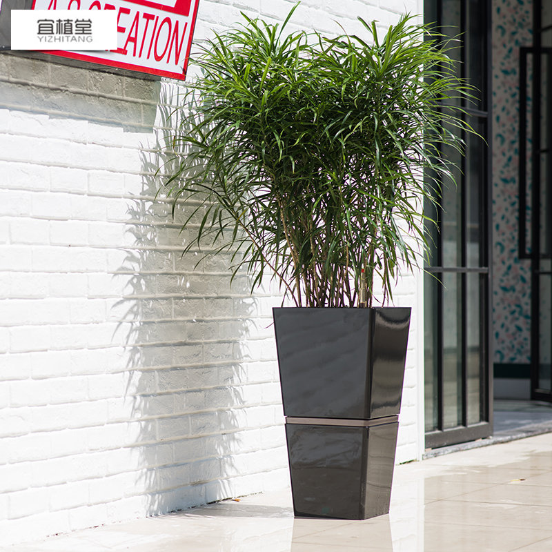 4012 Yizhitang Automatic Water Absorbing Flower Pot Combination Automatic Watering High end Paint Intelligent Flower Pot