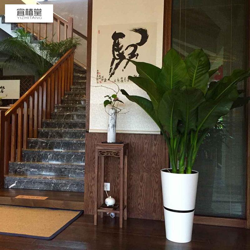 4056 self-priming large flowerpot with round mouth and baked paint combination for rental and exhibition. Lazy flowerpot in the opening lobby